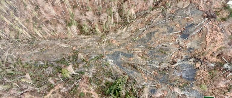 На Рахівщині відбувся зсув ґрунту на площі понад 11 га