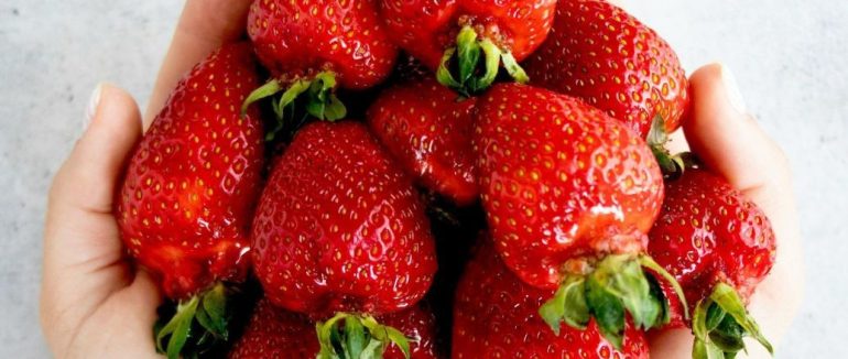 Виросте розміром з кулак: ось чим потрібно підживити полуницю навесні