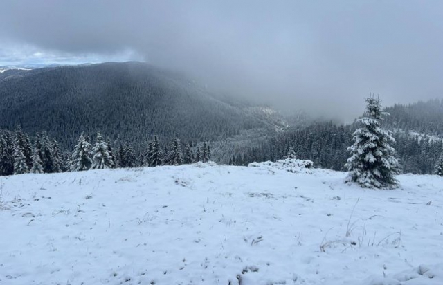 Закарпатські рятувальники допомогли туристу, якому стало зле біля Говерли