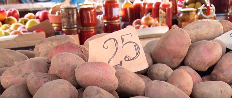 Дорога картопля: мукачівці про ціни на популярний овоч (ВІДЕО)