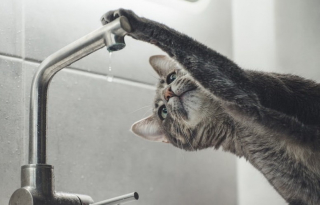 З березня у Мукачеві боржникам за воду перекриватимуть кран