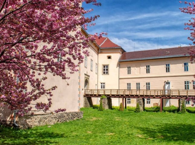 Найбільші музеї Закарпаття: скільки разів на рік відвідують