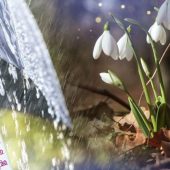 Якою буде погода у березні: синоптикиня зробила прогноз