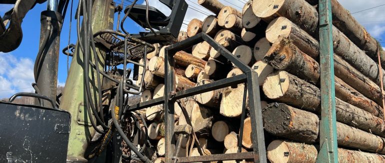 На Тячівщині виявили порушення у сфері охорони довкілля