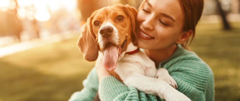 14 ознак того, що ваш собака дійсно любить вас