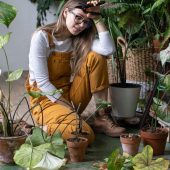 Як уникнути поширених помилок під час пересадження рослин