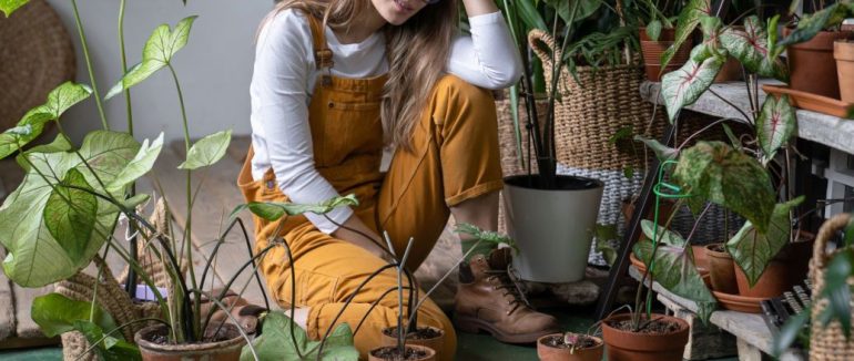 Як уникнути поширених помилок під час пересадження рослин