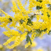 Якою буде погода у перший день квітня: прогноз синоптиків