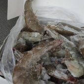 Великий закуп: невідомі намагались провести три тонни креветок через українсько-румунський кордон