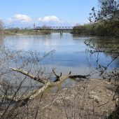 “Заплив” не вдався: на Закарпатті затримали 4 чоловіків, які намагались потрапити до Угрощини