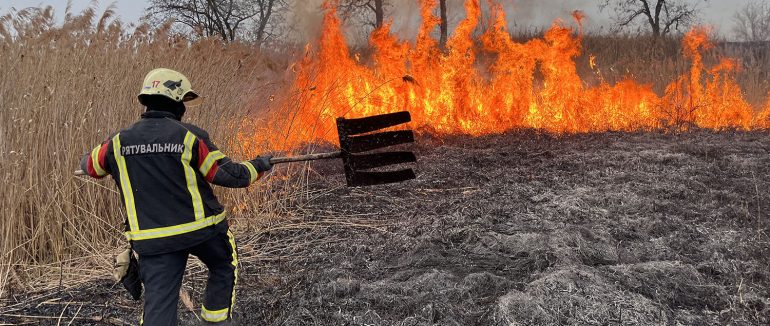 За добу на Закарпатті зафіксували 10 пожеж на відкритій території