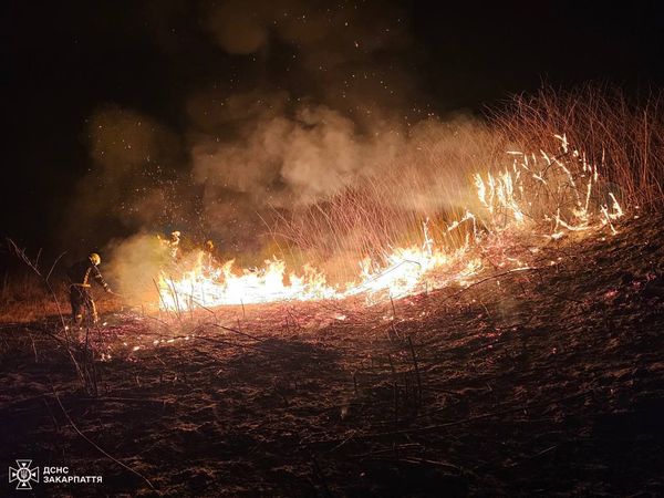 За вихідні на Закарпатті трапилося 18 пожеж сухої трави