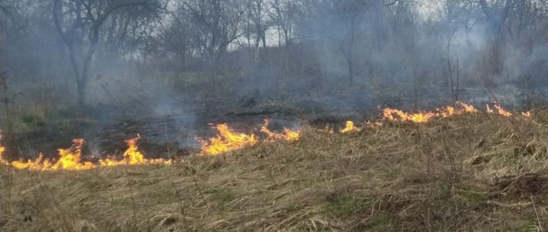 Попередньої доби Закарпаття знову потерпало від екопожеж