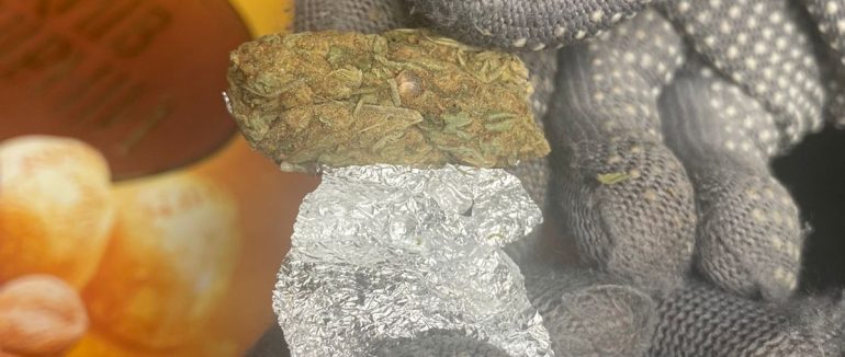 На Закарпатті на кордонні службова собака у коробці з-під цукерок винюхала марихуану