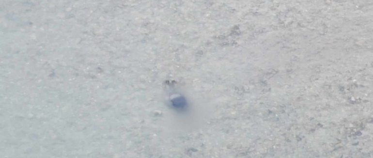 На Закарпатті у річці Тисі виявили тіло 33-річного харків’янина