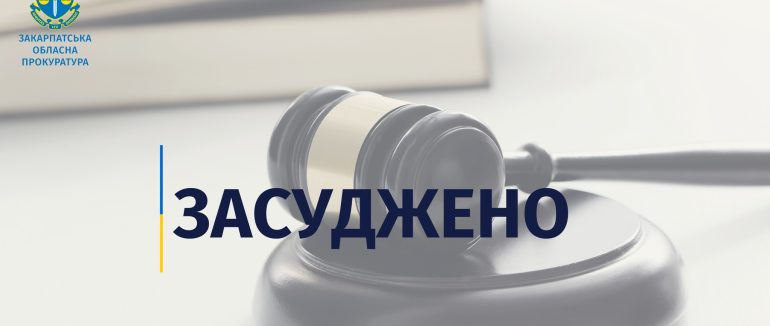 Закарпатця, який за $4000 мав переправити чоловіка через кордон, засуджено до 5 років ув’язнення