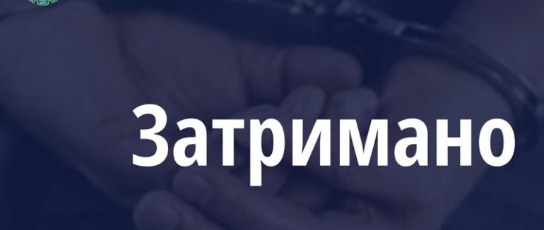 Двох колаборантів із Херсонщини, обвинувачених у співпраці з окупаційною владою рф, затримали та взяли під варту