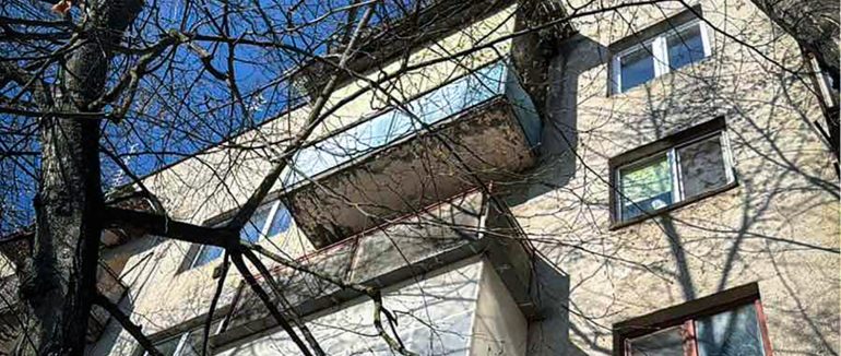 4 дні сидів на дереві та нявкав: у Берегівському районі рятувальники врятували кота