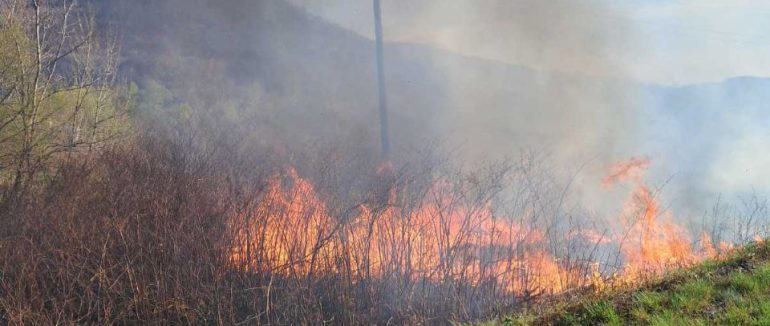 За останню добу на Закарпатті гасили траву у 4-х районах області