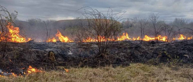 За добу на Закарпатті сталось 16 пожеж на відкритих територіях