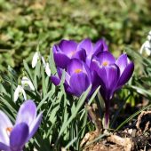 Вдень – до +11°: якою буде погода в Україні 3 березня