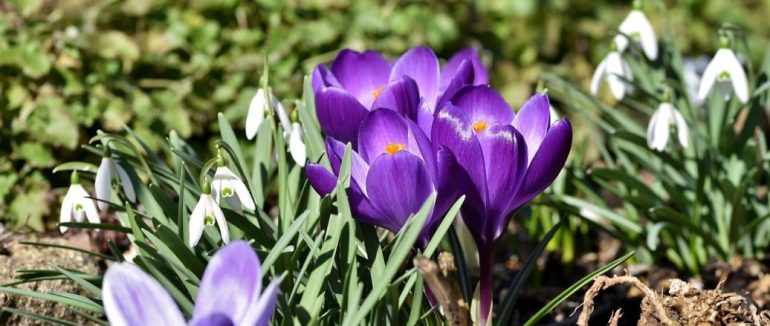 Вдень – до +11°: якою буде погода в Україні 3 березня