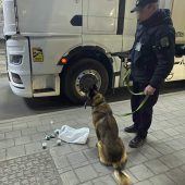 Наркотики у вантажівці: собака зловив порушника на кордоні Закарпаття (ФОТО)