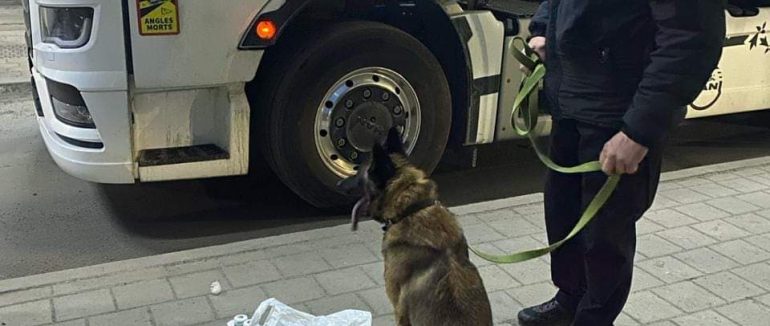 Наркотики у вантажівці: собака зловив порушника на кордоні Закарпаття (ФОТО)