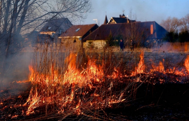 На Закарпатті вже зафіксували сотню випадків займання сухої трави