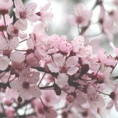 Якою буде погода в останні дні березня: прогноз синоптикині