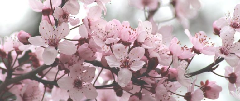 Якою буде погода в останні дні березня: прогноз синоптикині