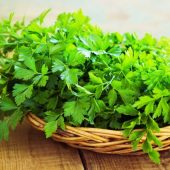 Коли сіяти кріп та петрушку навесні 2024 року: найкращі дати для посадження