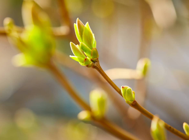 Найближчі дні не варто очікувати потепління