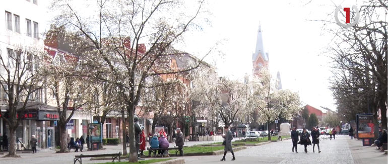 Найпопулярніші професії на Закарпатті: список робочих місць де Вас точно працевлаштують (ВІДЕО)