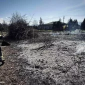 У Буштині вогонь з підпаленого сухостою ледь не перекинувся на житлові будинки (ФОТО)