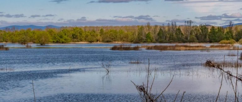 Комісія провела обстеження дамби на Латориці