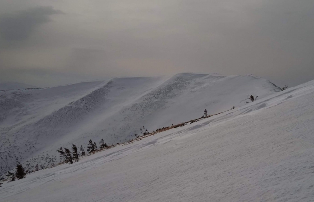 У Карпатах оголошено сніголавинну небезпеку