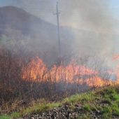 За добу пожежники 16 разів виїжджали гасити траву та чагарники