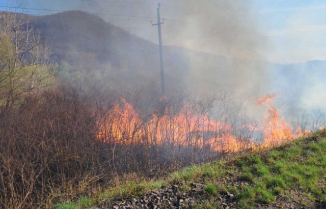 За добу пожежники 16 разів виїжджали гасити траву та чагарники