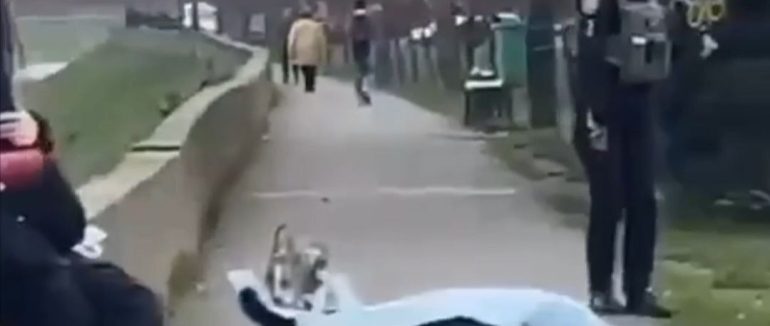 Раптова смерть посеред вулиці: 67-річний мукачівець впав на землю і помер до приїзду швидкої