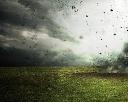 На Хустщині поблизу житлового будинку виявлено та знешкоджено мінометні міни