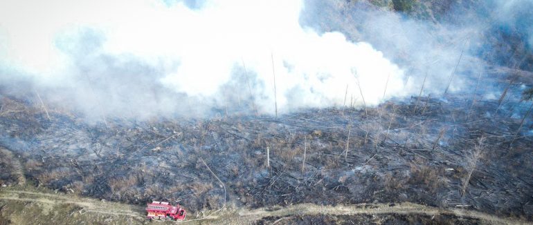 У Закарпатті рятувальники успішно приборкали велику пожежу, під час якої згоріло 6 гектарів лісу