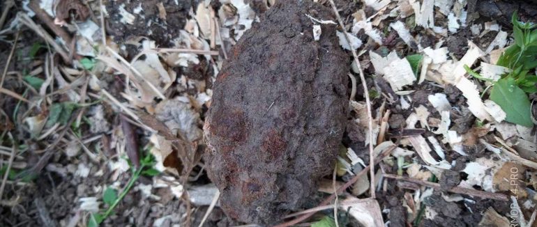 Житель Сторожниці викопав на городі гранату