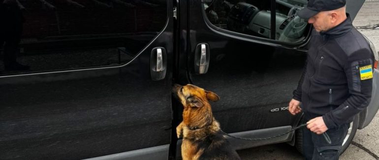 У День кінолога закарпатські митники розповіли про чотирилапих партнерів