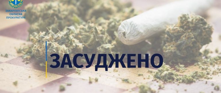 Понад 7 років ув’язнення і конфіскація майна: вирок суду жителю Рахова, який торгував наркотиками