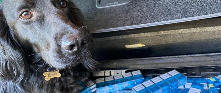 Нелегальні товари на кордоні