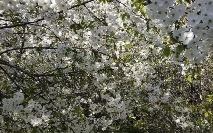 Гороскоп на 28 квітня для всіх знаків зодіаку: один із найсприятливіших днів місячного календаря