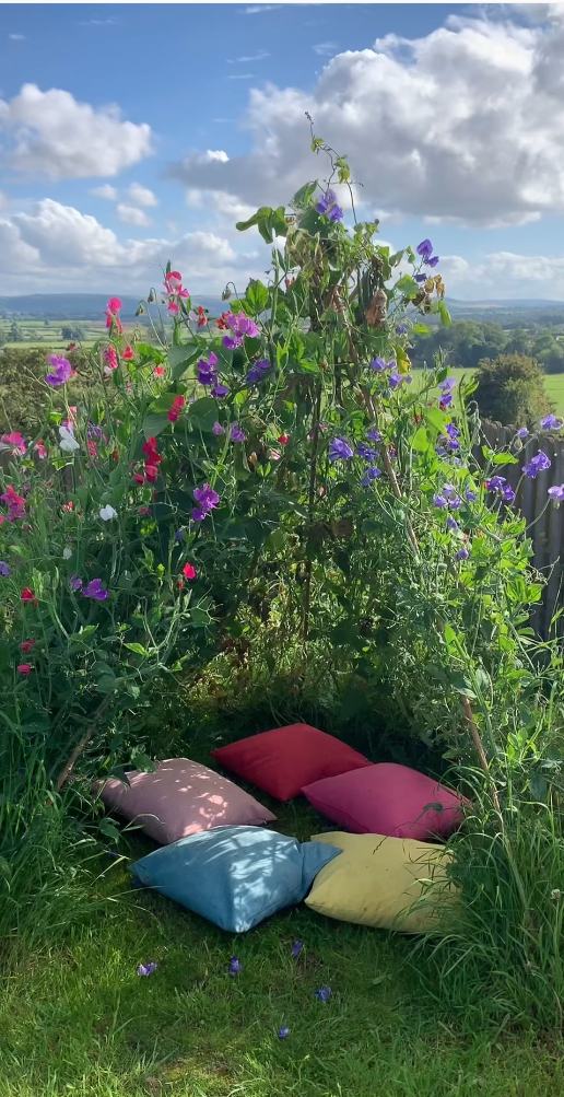 Як створити квітуче шатро на садовій ділянці: розпочинати потрібно вже у травні