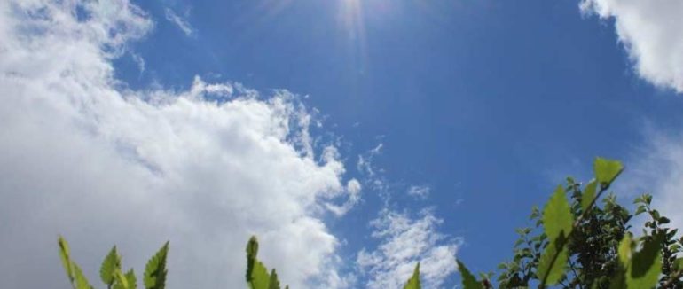 Вихідними на Закарпатті було оновлено температурний рекорд