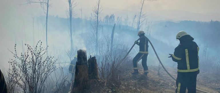 Масштабна пожежа на Рахівщині: рятувальники ліквідовують пожежу на території лісгоспу